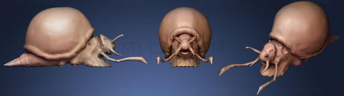 3D model Snail (STL)